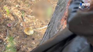 Encountered a stunning girl in the woods and had sex with her