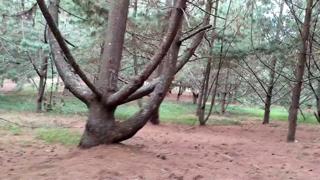 I bump into a sexy lady in the wilderness